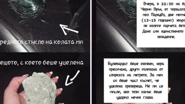 Вандали потрошиха колата на Невяна Владинова
