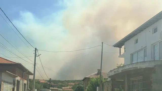 Голям пожар застрашава гора край Хасково