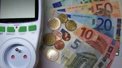 Двете цени на тока: какво означава това за семейството на Росица?
