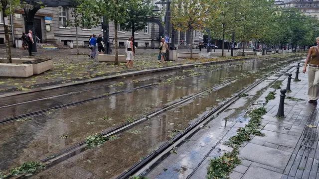 Кметовете - на първа линия при природни бедствия
