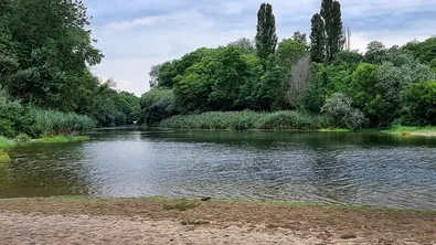 Кросови мотори нахлуха в „Камчия“, екоинспекцията откри щети по растителността