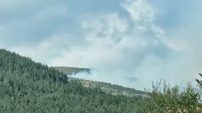 Горски пожар край Софийското село Антон