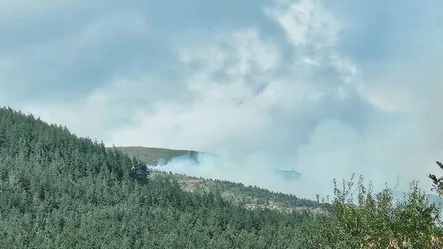 Горски пожар край Софийското село Антон