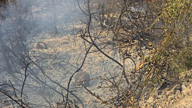 Пожар край Боаза: Огънят обхвана 15 декара сухи треви и храсти