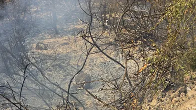 Пожар гори на Регионалното депо за отпадъци в Габрово