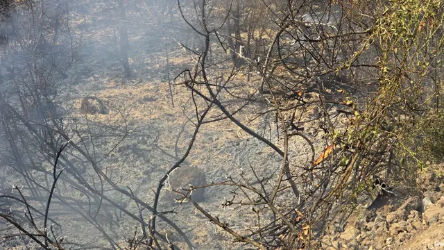 Пожар гори на Регионалното депо за отпадъци в Габрово