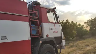 Огнен фронт обхвана над 200 декара гора край Стара Загора