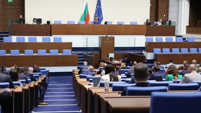 Парламентът даде зелена светлина на мерки срещу "делата шамари"