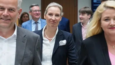 „Алтернатива за Германия“ не спечели нито един кметски пост в Долна Саксония