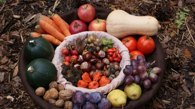 Есенни храни за по-силен имунитет: 7 продукта, които да включим в менюто