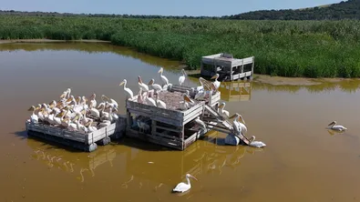 Над 5 млн. куб. м вода са прехвърлени от Дунав в резервата „Сребърна“ за 74 дни