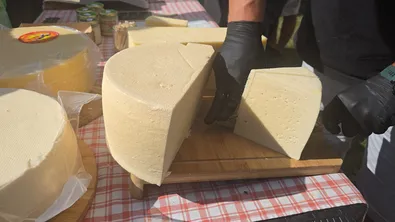 Колко мляко има в млечните продукти? Браншът предупреждава за липса на контрол
