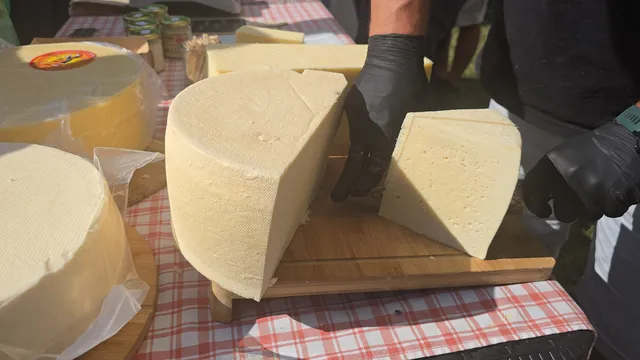 Колко мляко има в млечните продукти? Браншът предупреждава за липса на контрол