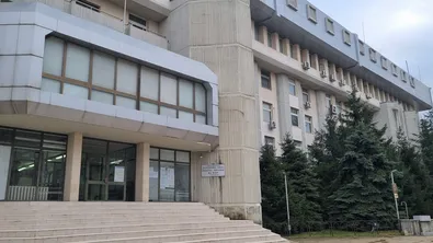 Канабис с височина до 3 метра откриха полицаи край антоновско село