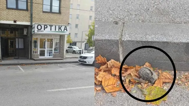 Ръчна граната беше открита до телевизия в Босна и Херцеговина