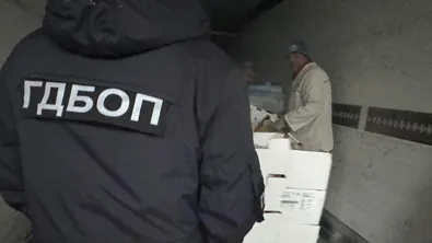 ГДБОП иззе над 250 кг наркотици от хладилни камиони за месо