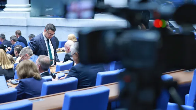 Парламентът прие промени, забраняващи отглеждането на животни с цел добив на ценни кожи