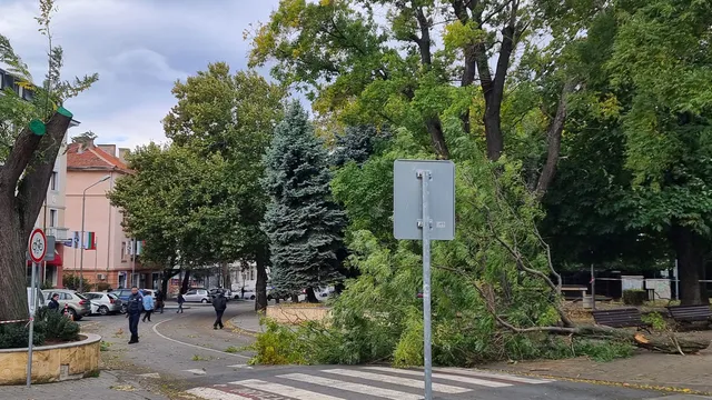 Заради силен вятър: Затвориха училища в Сливен