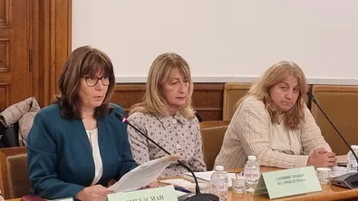 Омбудсманът: Пенсиите и помощите за хората с увреждания остават сред основните проблеми