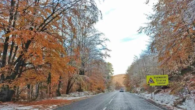 На Петрохан: Сняг, паднали клони и ограничения за камионите