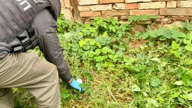 ГДБОП задържа мъж с над 60 грама фентанил в Русе, опитал да избяга от полицията