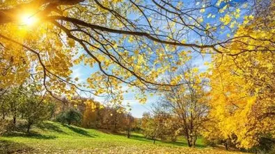 Слънчево и топло за сезона ще бъде утре
