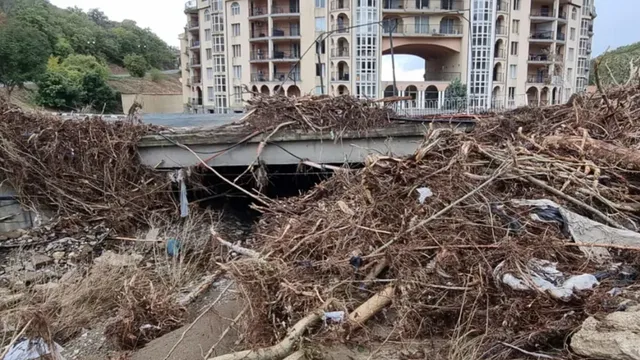 „Зелено движение“: Промените в ЗУТ могат да узаконят скандални строежи като Алепу и Елените