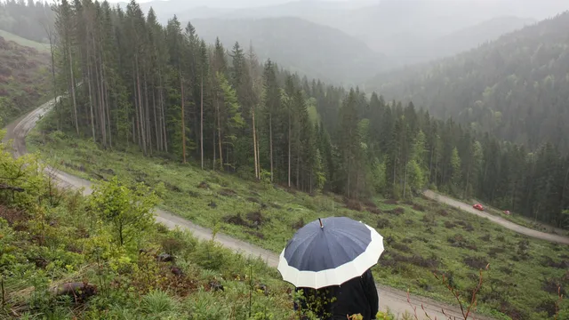 Променливо време с мъгли, дъжд и застудяване утре