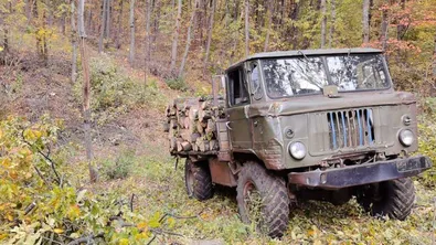 Арести след като установиха незаконно сечище край Видин